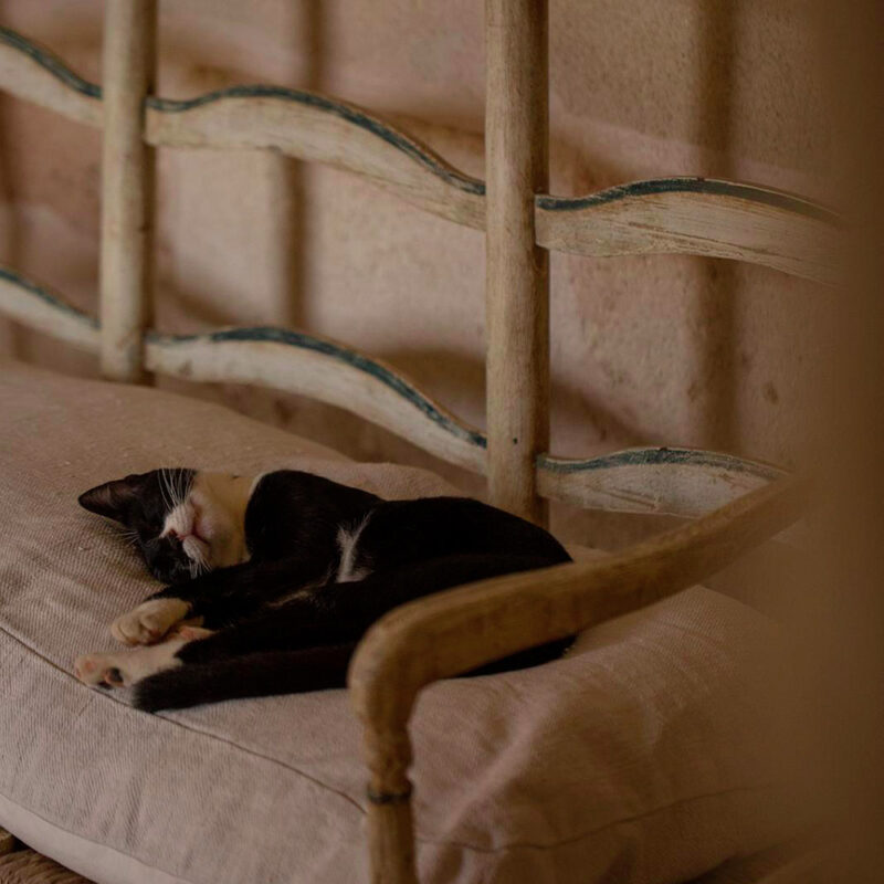 Dimora Cala Del Pozzo