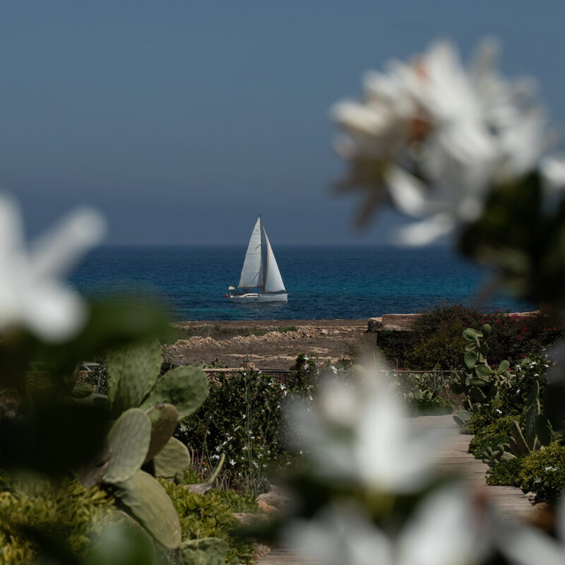 Dimora Cala Del Pozzo