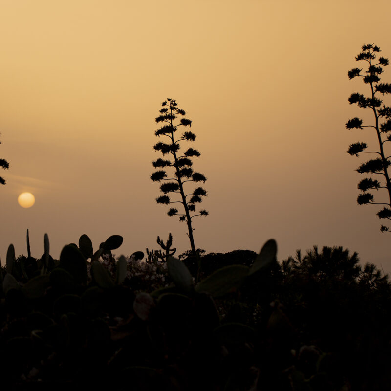 Dimora Cala Del Pozzo
