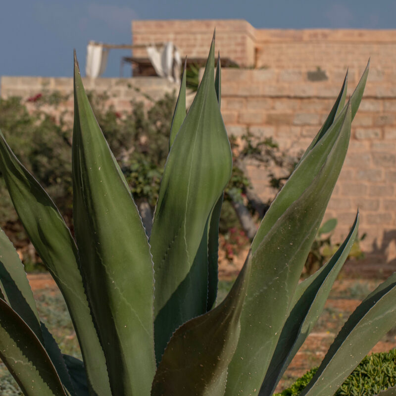 Dimora Cala Del Pozzo